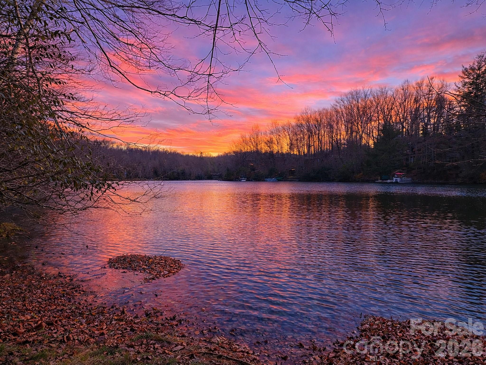 Connestee Falls - Land