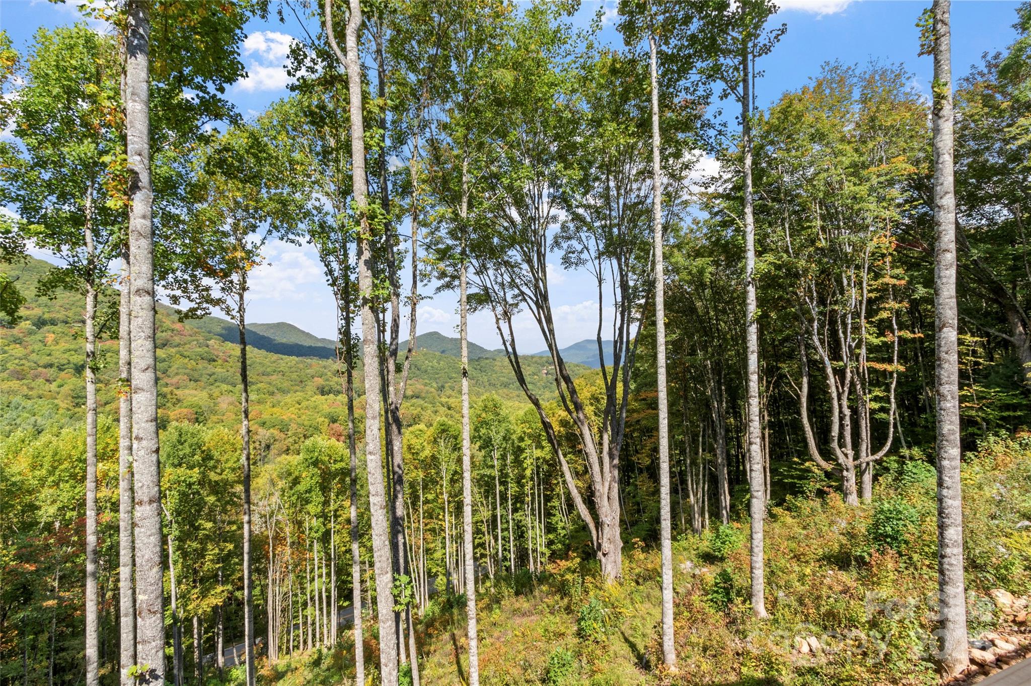 The Ridge Tops of Hawks Nest - Residential