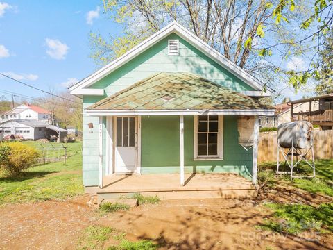 131 Phillipsville Loop Canton NC 28716