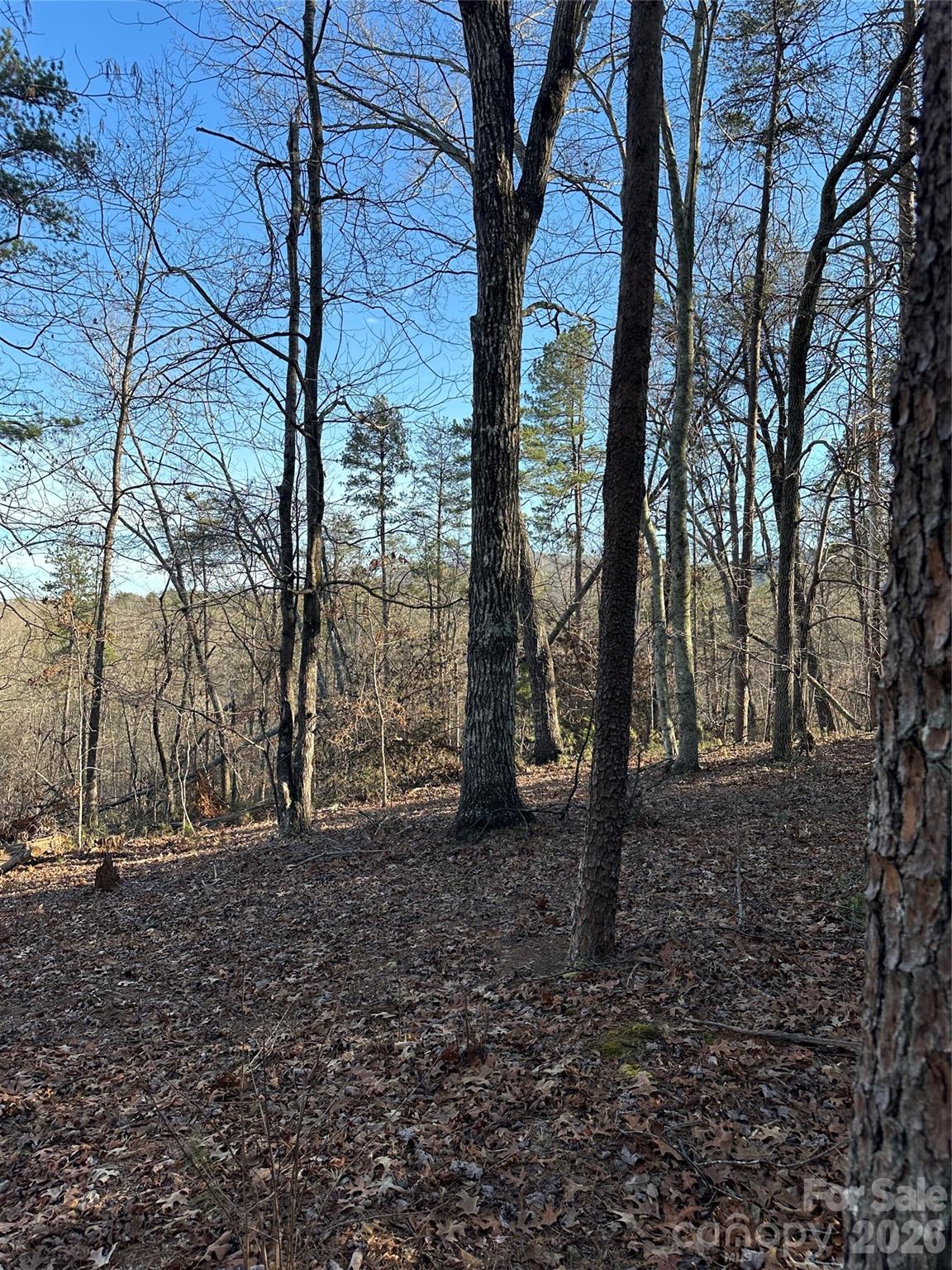 Land of Lakes - Land