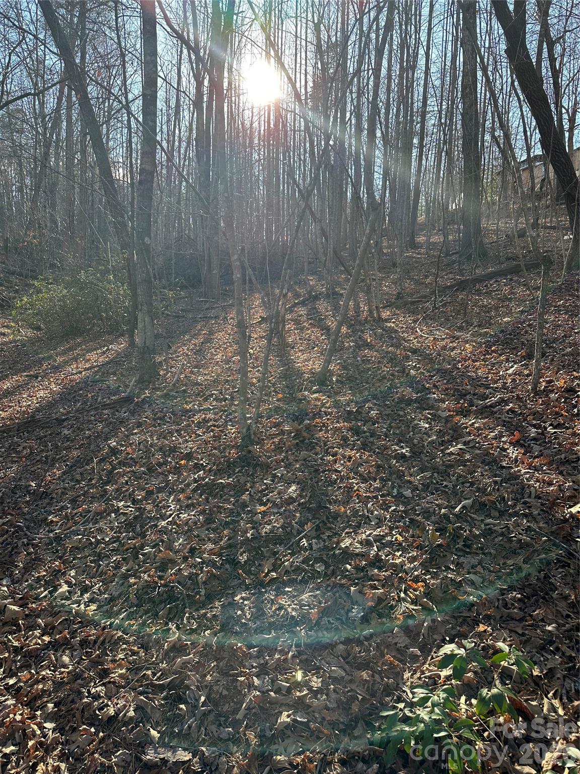 Land of Lakes - Land