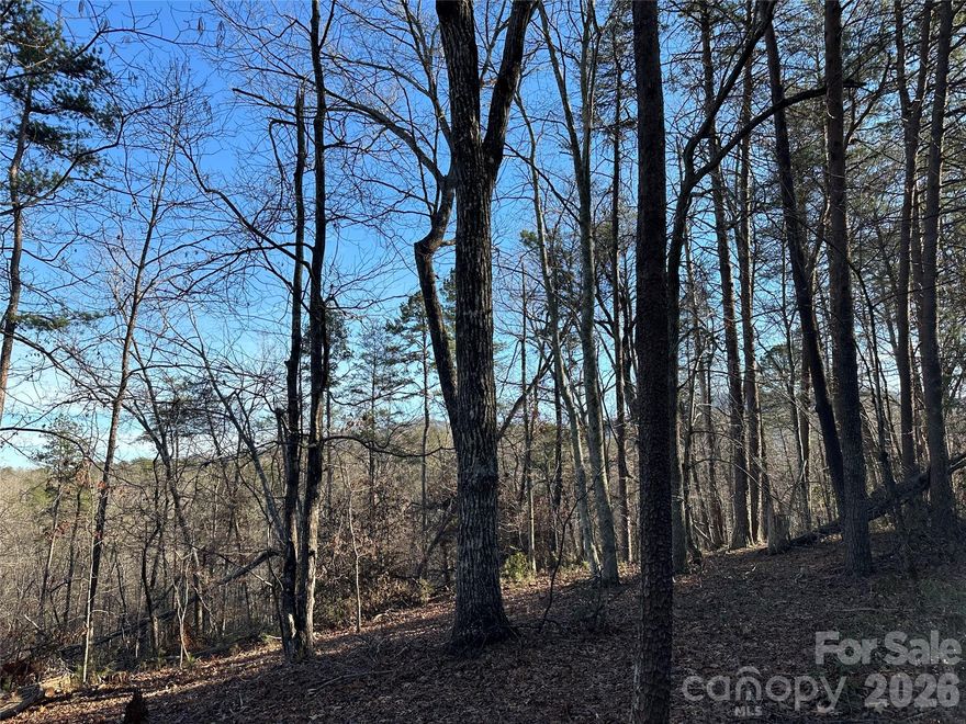 Looking for a little space and freedom? This 1.22-acre gently sloping lot offers winter mountain views and plenty of potential! It is directly adjacent to the Lake Adger Community—but not part of it, so there are no HOA fees or restrictions.  This property offers unlimited options.  Have you been wanting a place to create a homestead or just get away and relax?  Are you planning to build, place a manufactured home, camper, or tiny home?  Do you want a long or short term investment in land?  This property provides many different possibilities and is just a short ride away from the Lake Adger public boat ramp, Green River Game Lands, ziplining, hiking and the Green River.  Come check it out today!