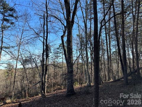 00 Hawkins Lane 8 Mill Spring NC 28756