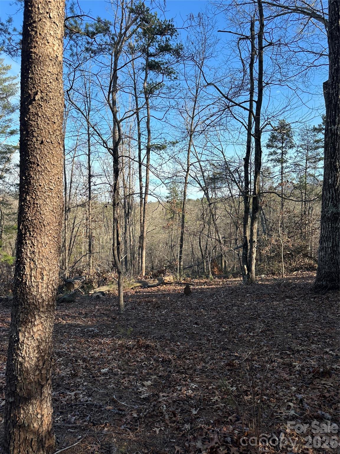 Land of Lakes - Land