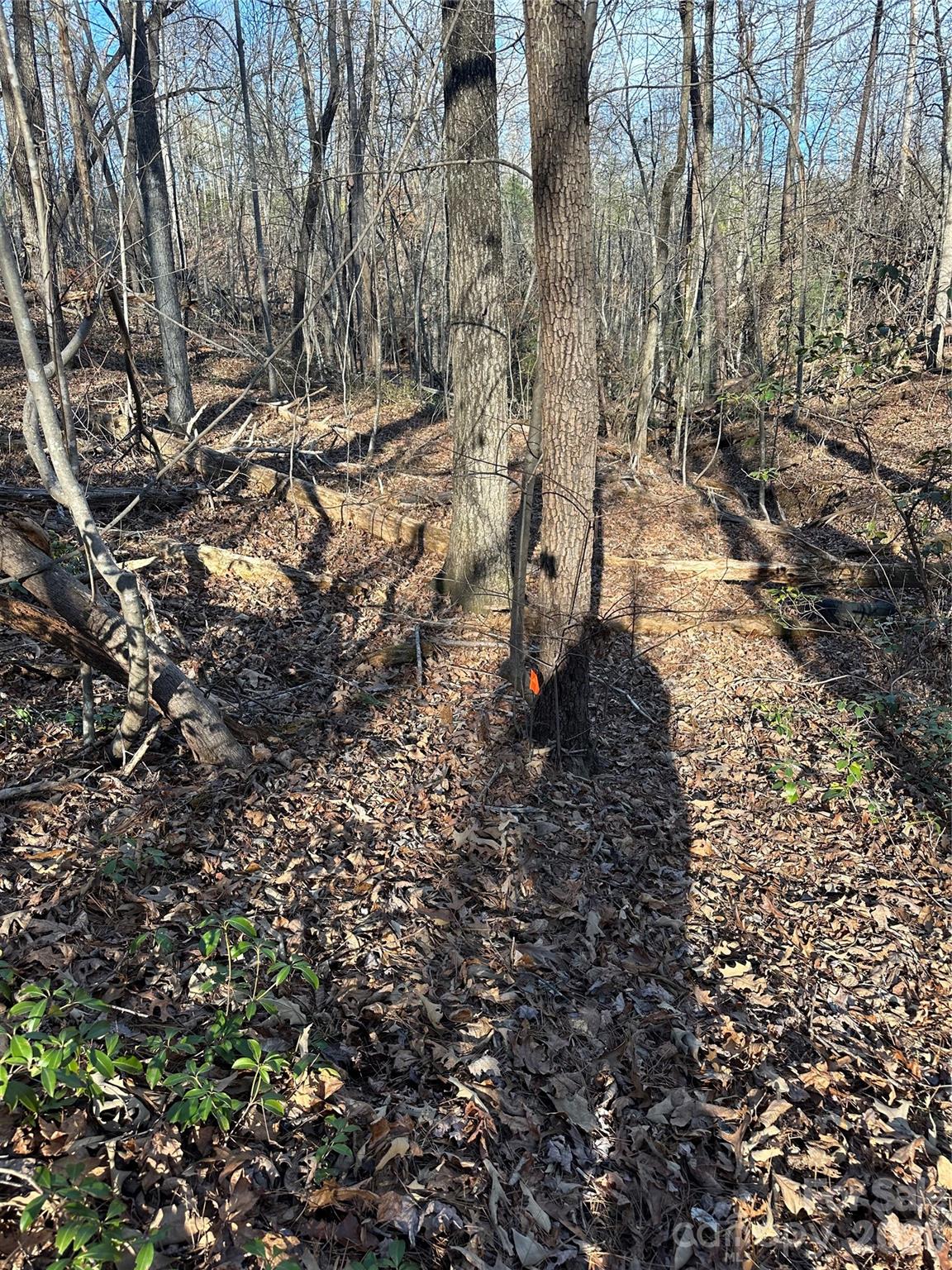 Land of Lakes - Land