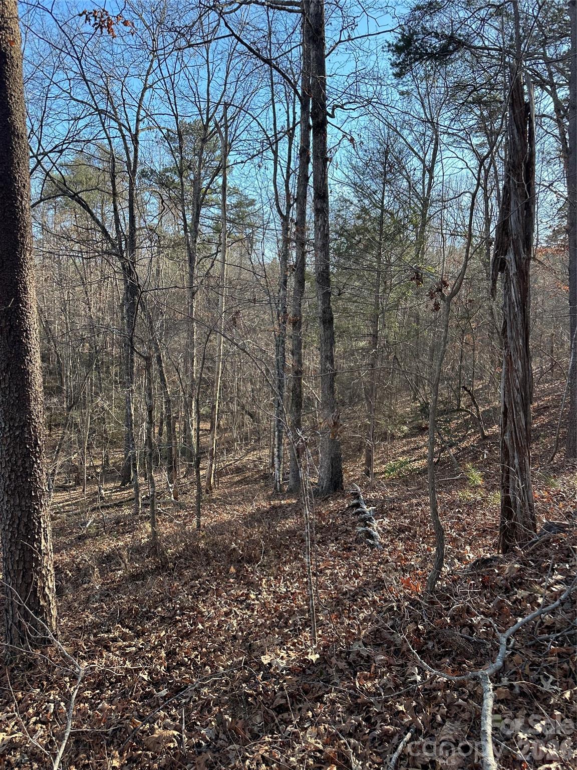 Land of Lakes - Land