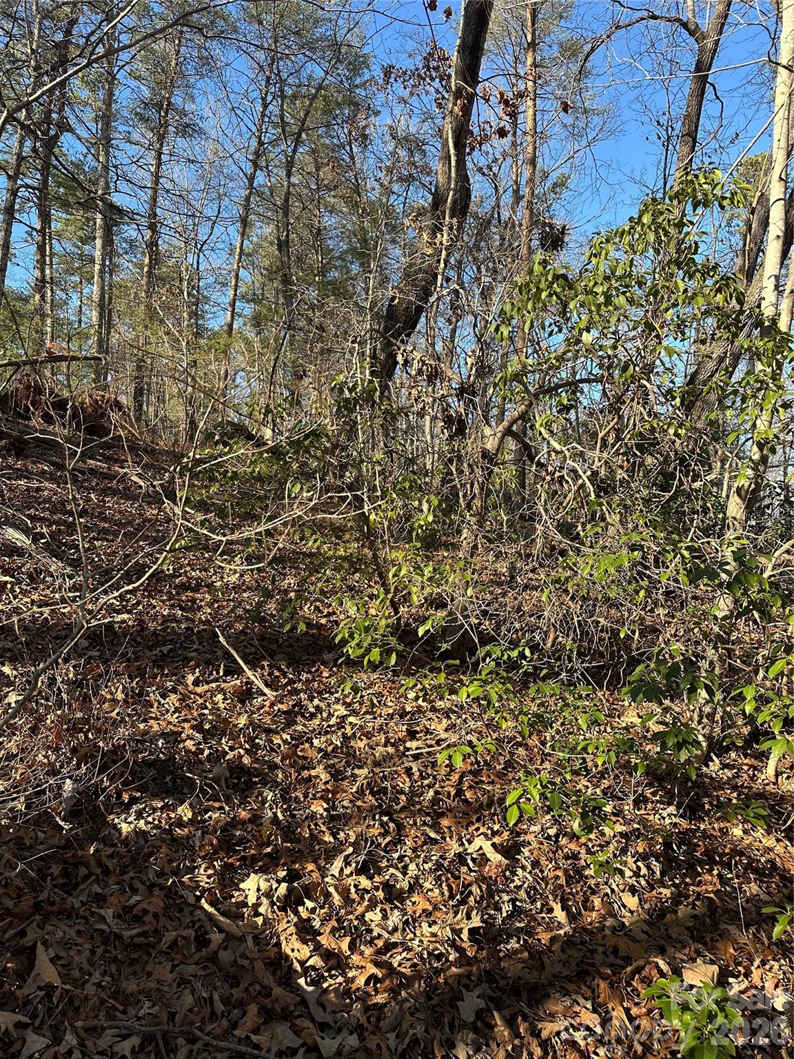 Land of Lakes - Land