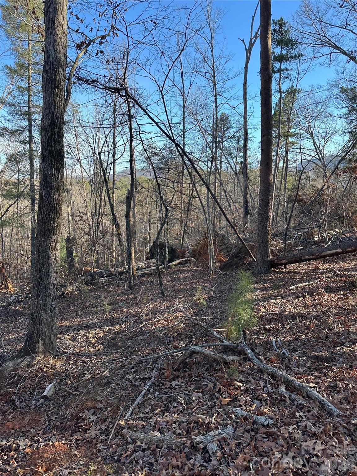 Land of Lakes - Land