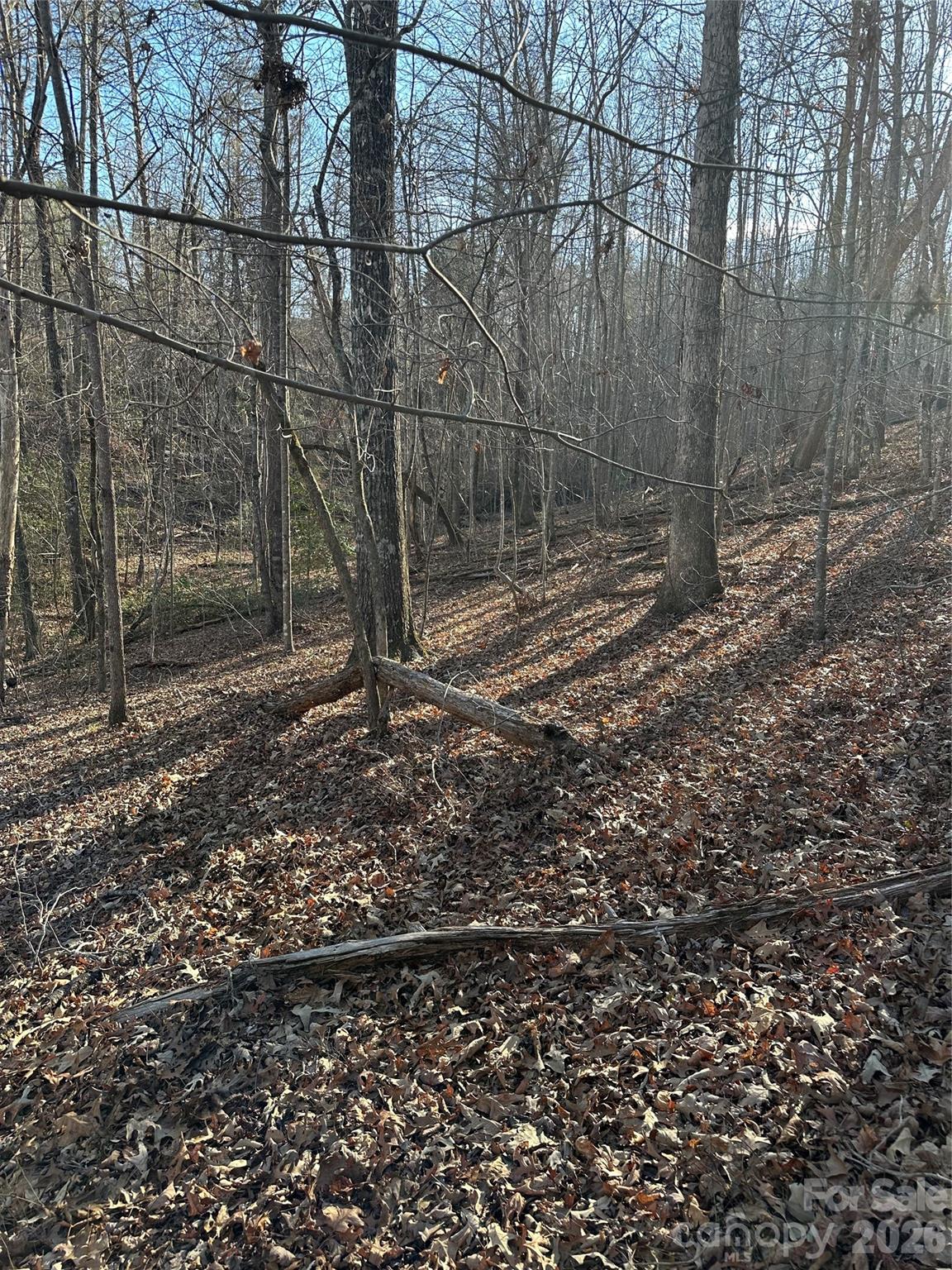 Land of Lakes - Land