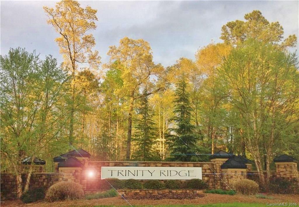 Trinity Ridge - Land