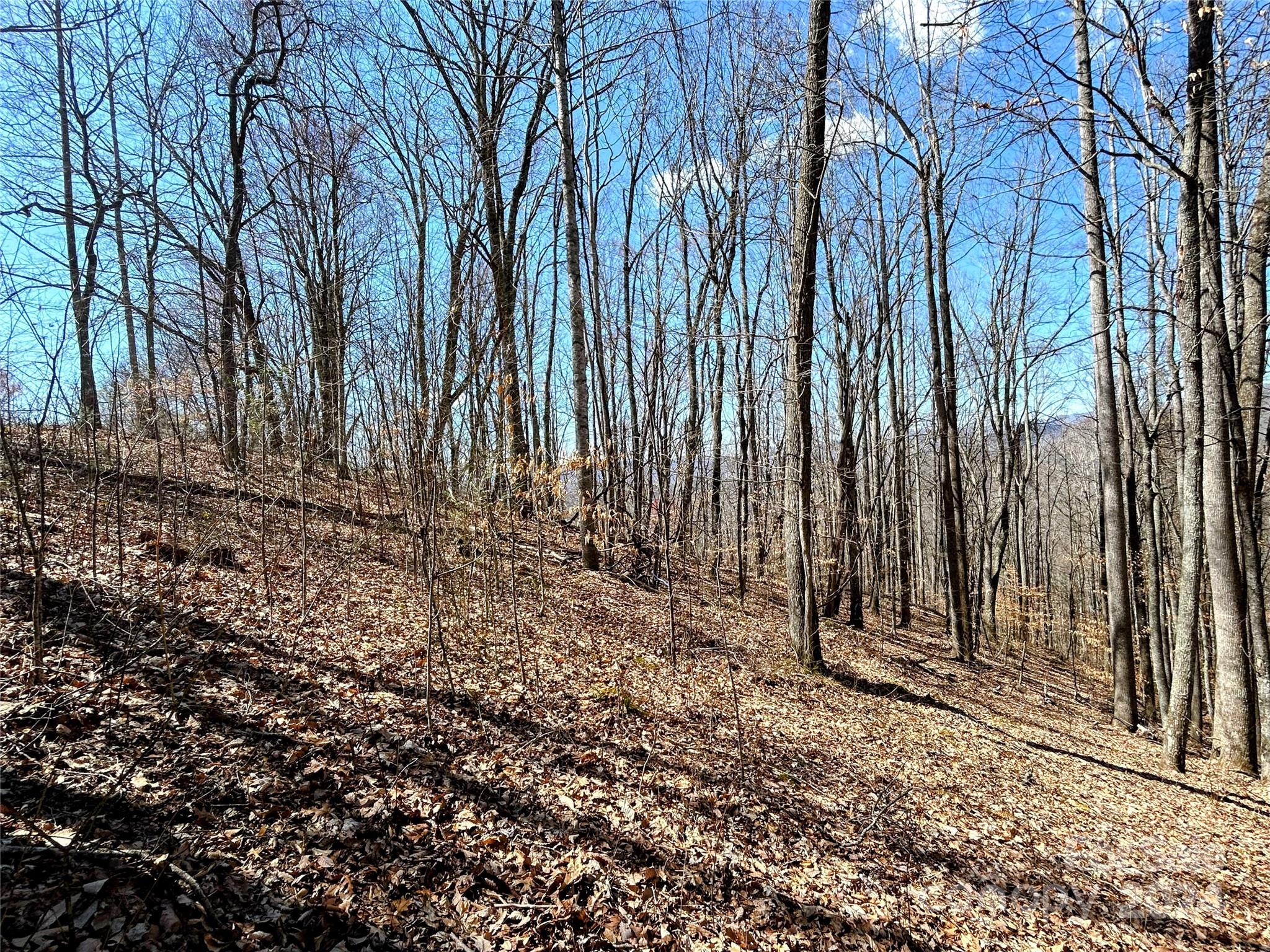 Lot 15 Red Wolf Run 15