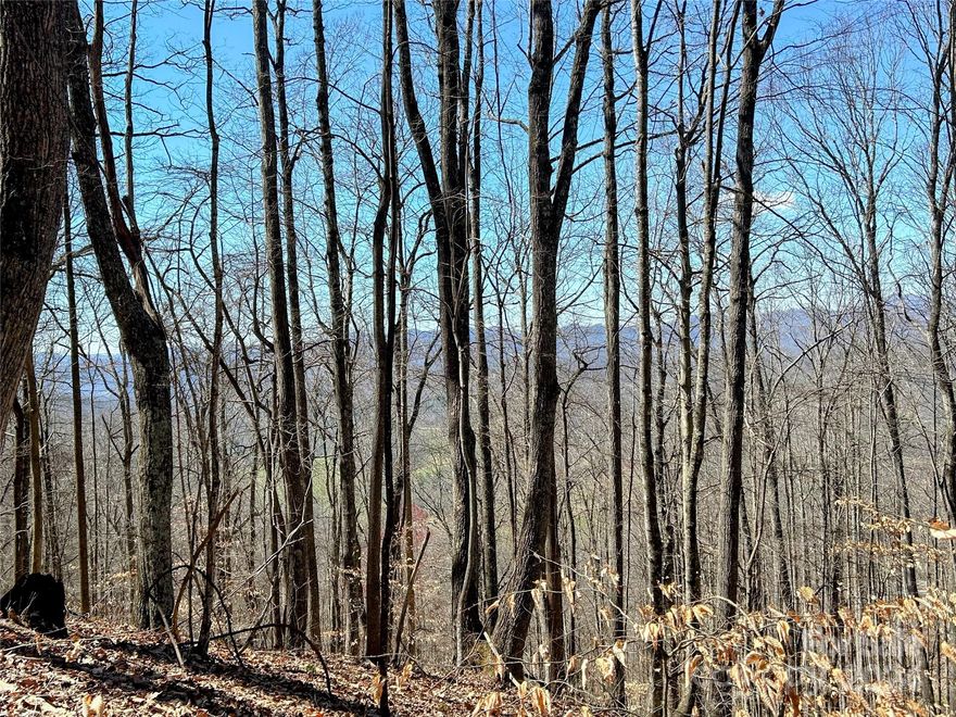 Secluded, private lot with great view potential in the quiet community of Red Wolf Run.  Bring your vision and buildings plans to create your own mountain getaway.  This lot sits off the road with a deeded right of way for a driveway, which only adds to the privacy of the setting.  With some minimal clearing you could have some very pleasant mountain views!  Lot is sloped, but definitely buildable.  Property markers are still visible for most of the lot lines, so walking this lot should prove no trouble.  Priced below tax value this lot represents an inexpensive opportunity to own your own little slice of the mountains, come see it today!