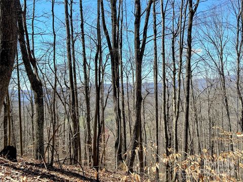 Lot 15 Red Wolf Run 15 Mars Hill NC 28754