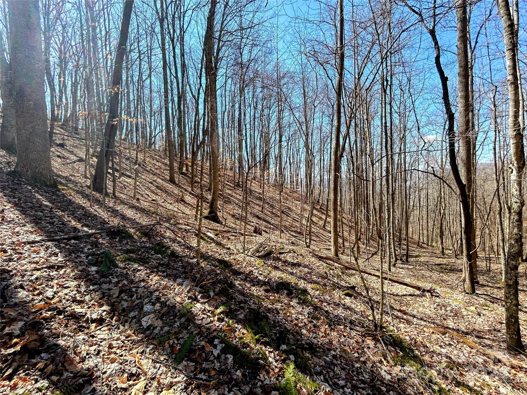 Lot 15 Red Wolf Run 15