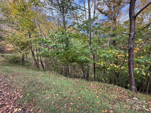 Photo of 92 Goldenleaf Drive, Mars Hill, NC 28754 (MLS # 4311155)