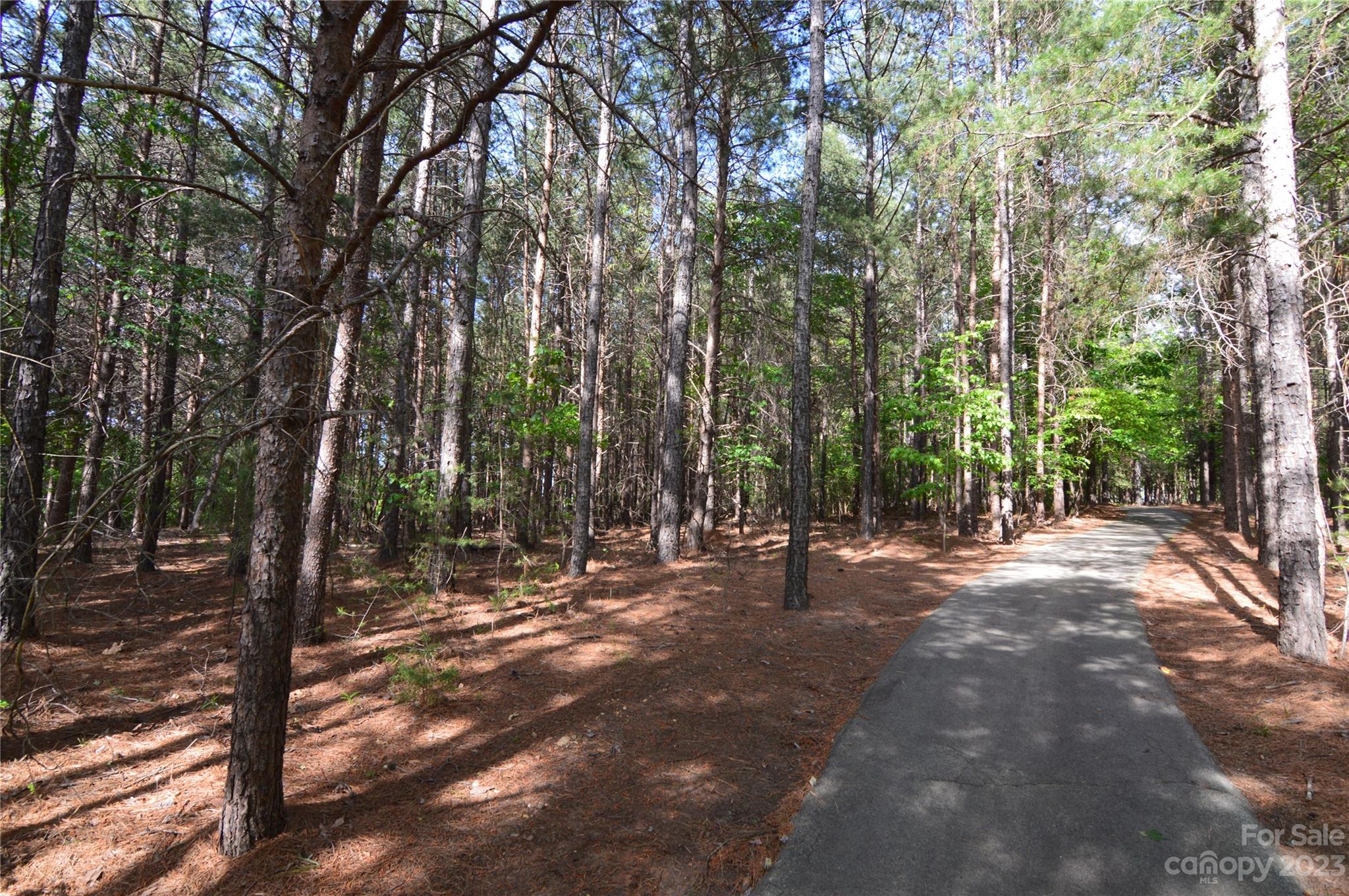 Reflection Pointe - Land