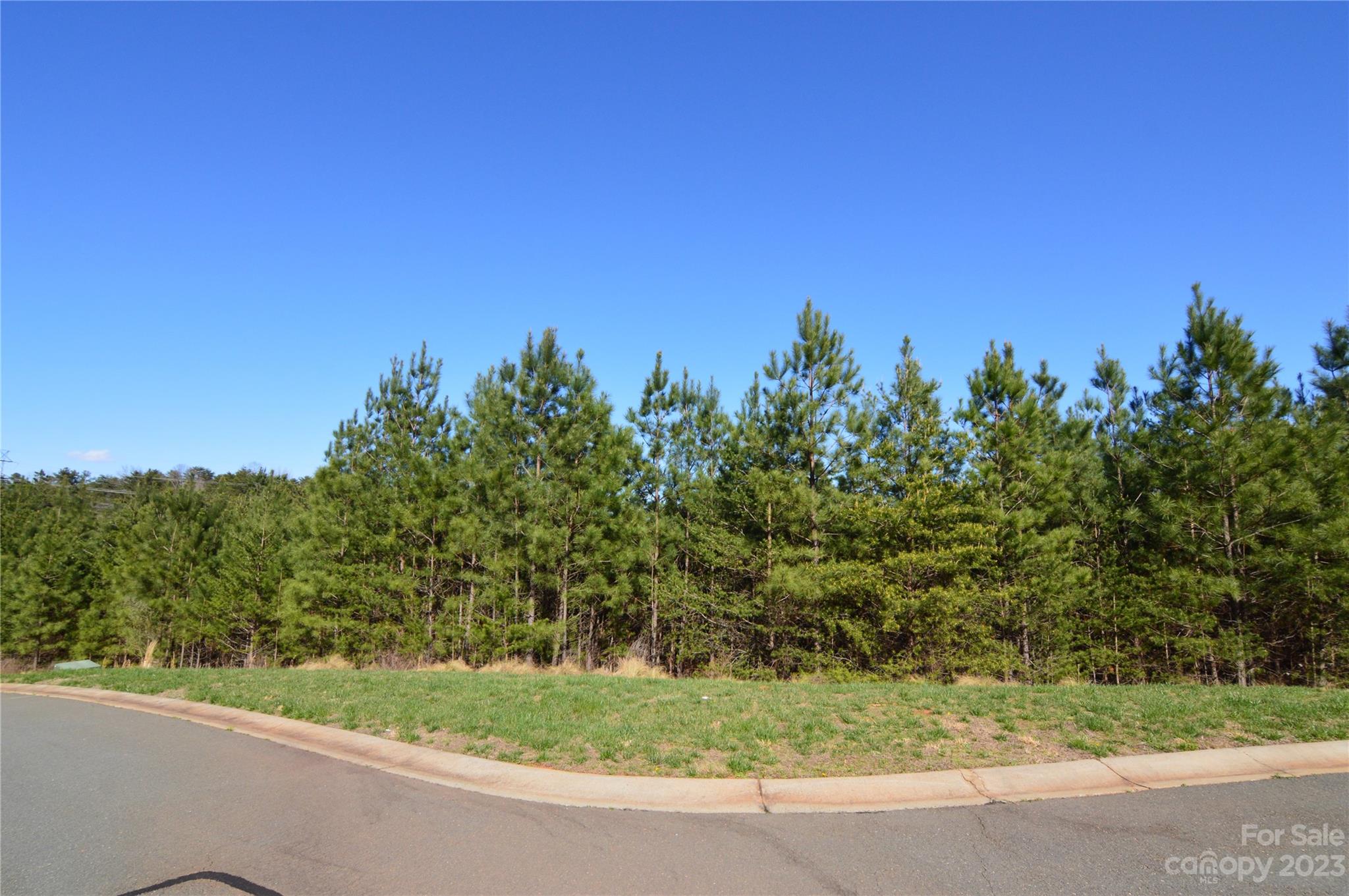 Reflection Pointe - Land