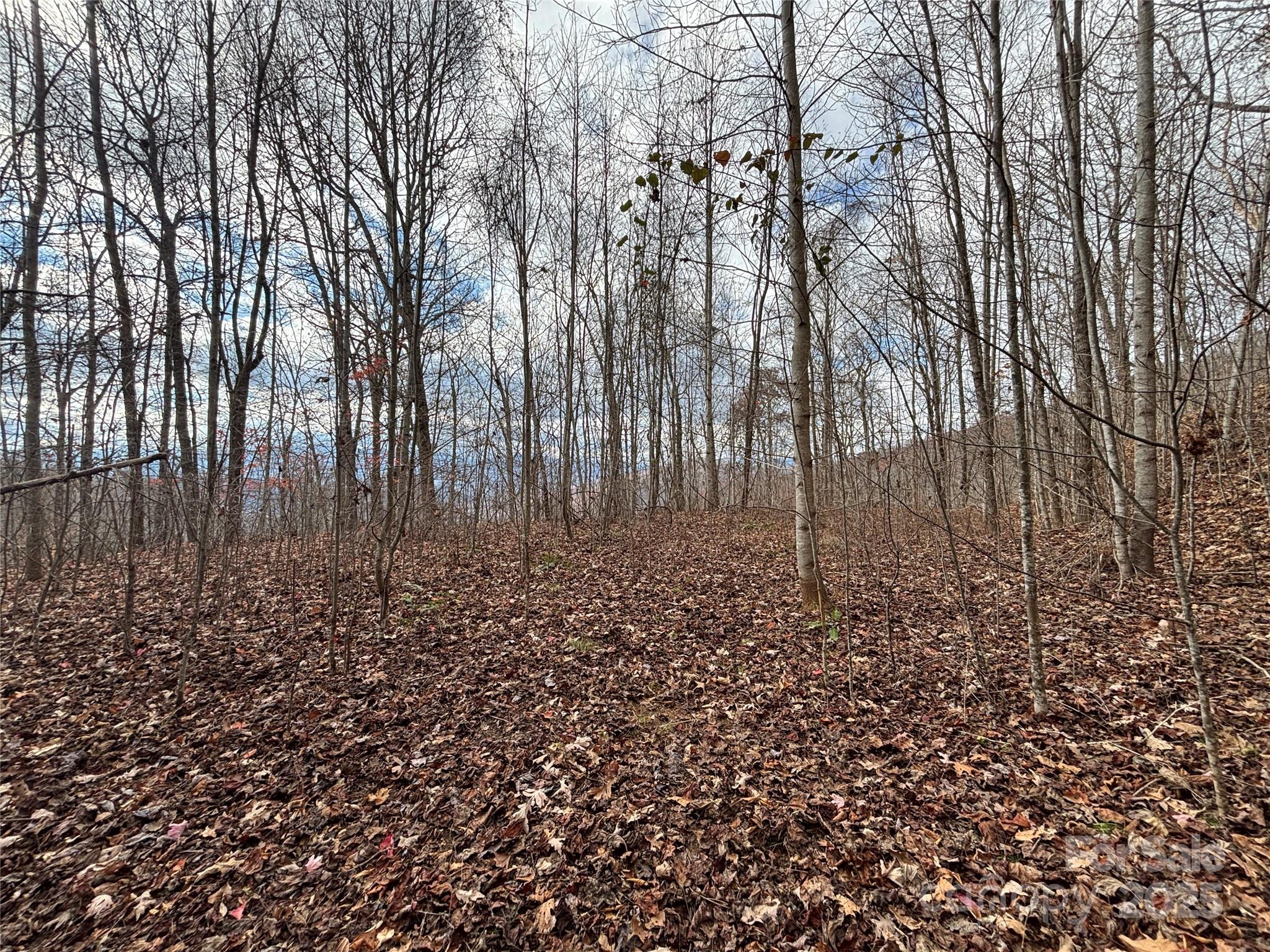 Brush Creek Properties - Land