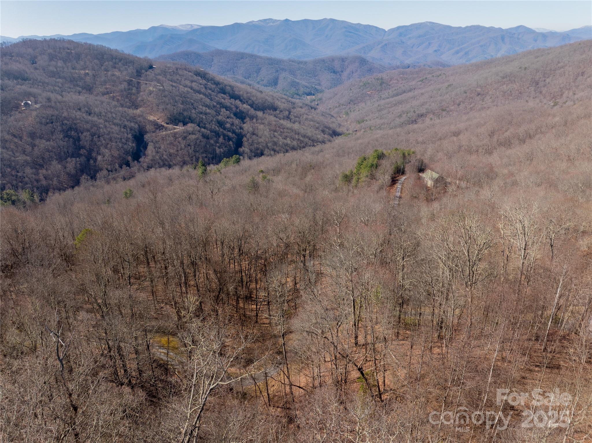 Brush Creek Properties - Land