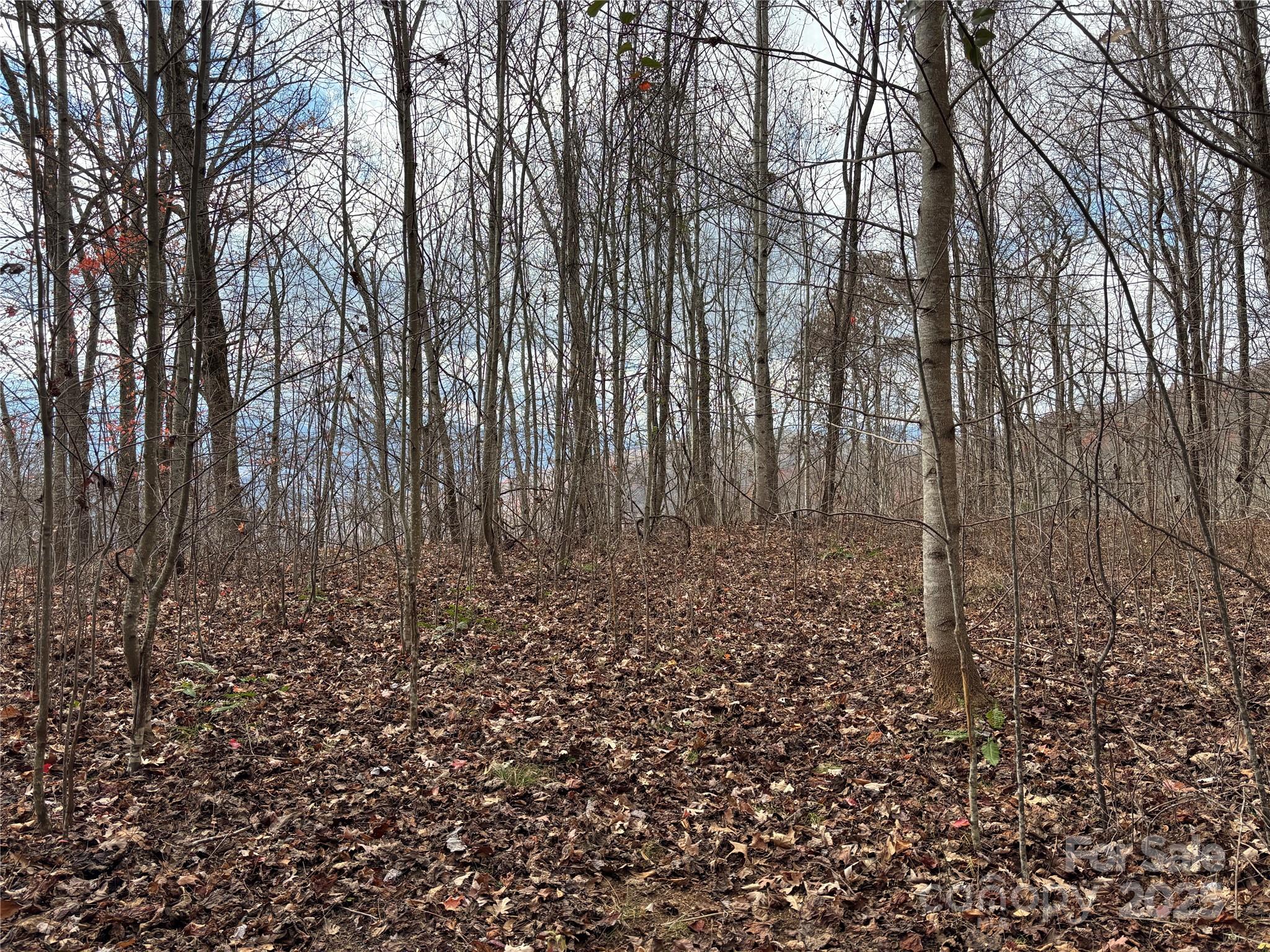 Lot 64 Grizzly Ridge