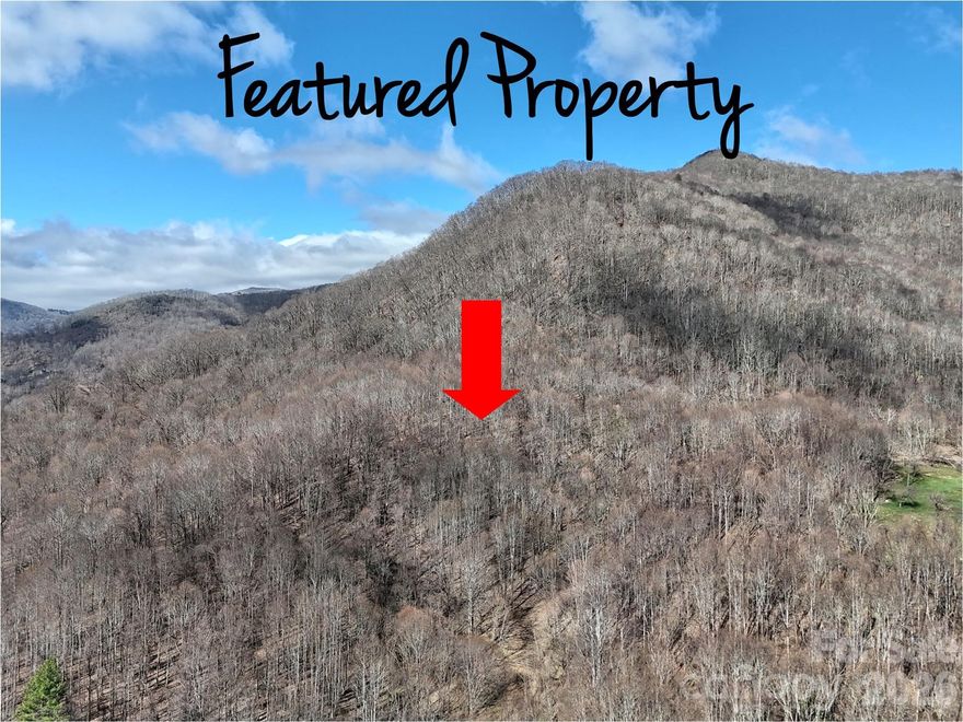 Gorgeous views with peaceful setting.  Discover the perfect canvas for your mountain vision on this unique 11.8452-acre tract in the desirable Jonathan Creek Township. Offering rare freedom with no restrictions and no HOA, this property provides endless possibilities for development or a private estate.  Adjoins 38.68 acres to the west that are protected by a conservation easement, ensuring that neighboring land remains undeveloped.  Enjoy the serenity of the mountains while staying close to the vibrant towns and areas of Waynesville, Maggie Valley, Cataloochee, Asheville, and Sylva.  Convenient access to world-class amenities, including local shopping, diverse restaurants, hiking trails, snow skiing and white-water rafting adventures.  Whether you are looking to build a secluded getaway or a custom homestead, this expansive acreage offers the space and liberty to make it a reality.