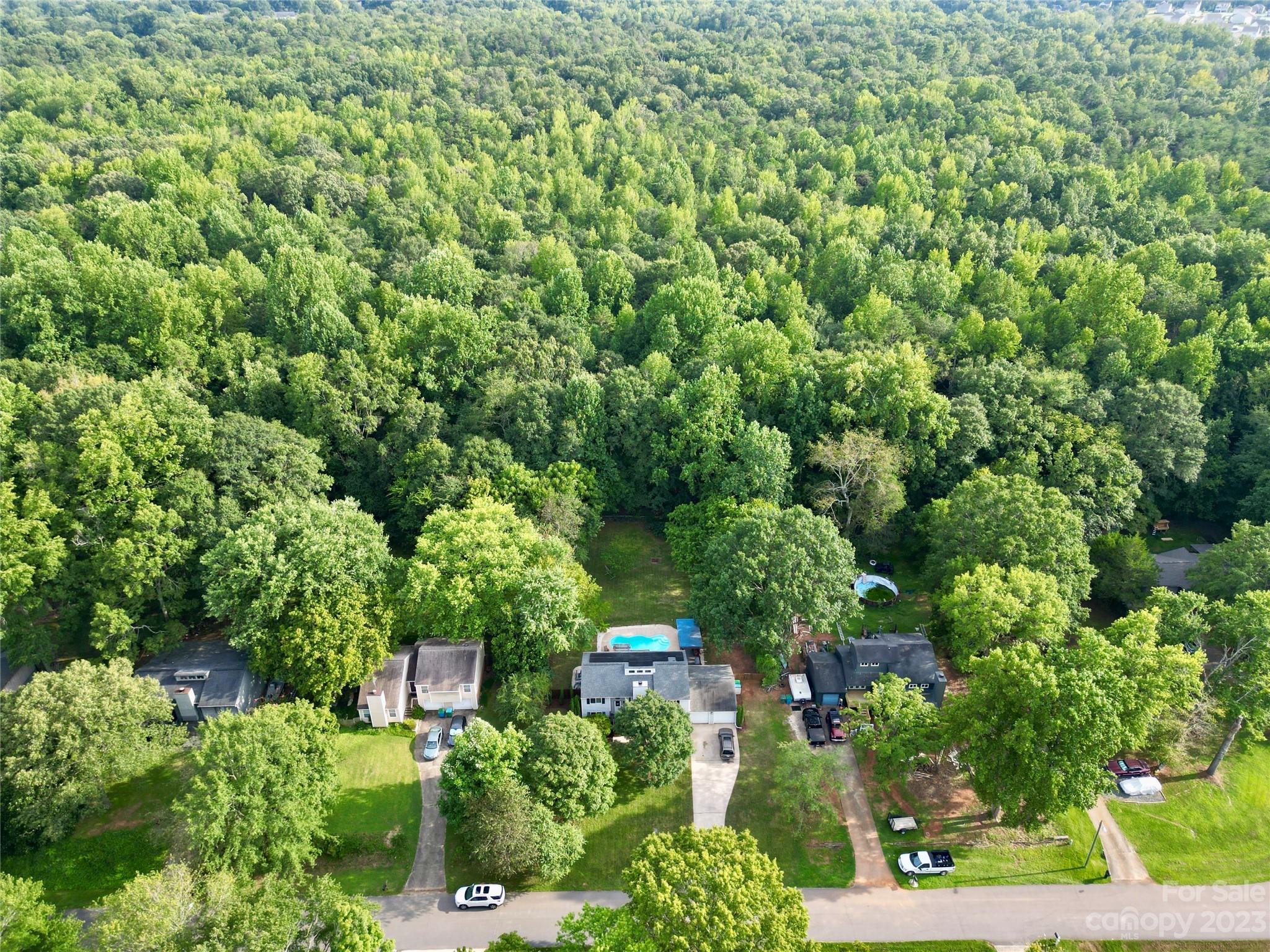 Timber Forest - Residential