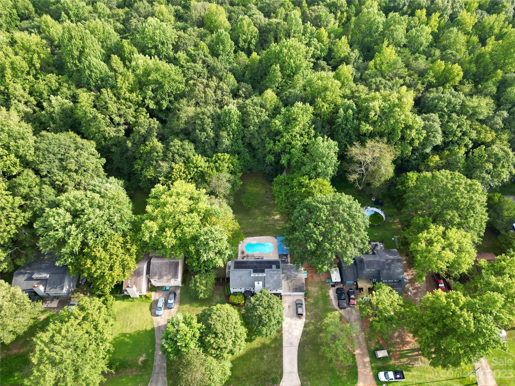 Timber Forest - Residential
