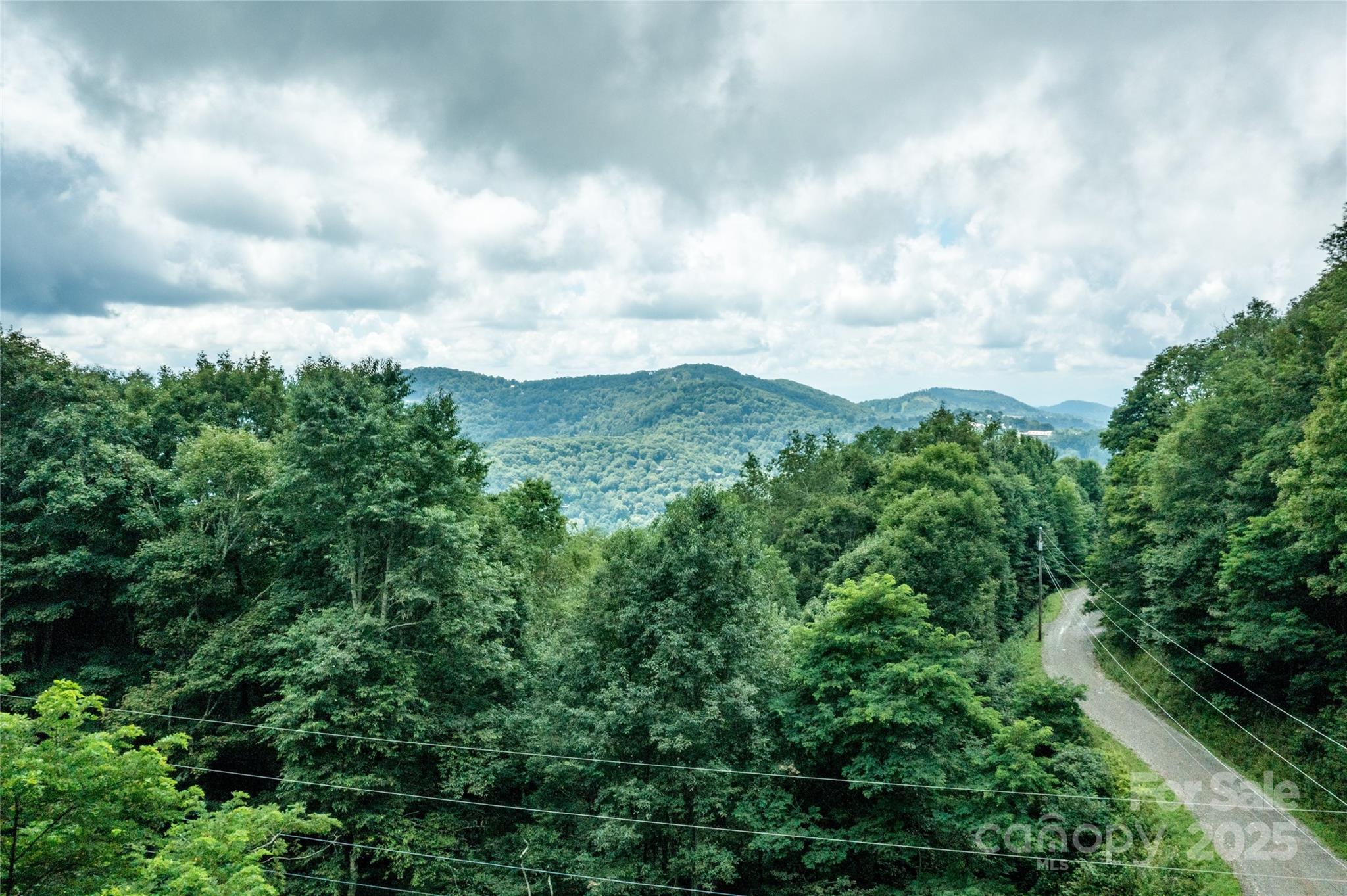 423 Grouse Thicket Road 238