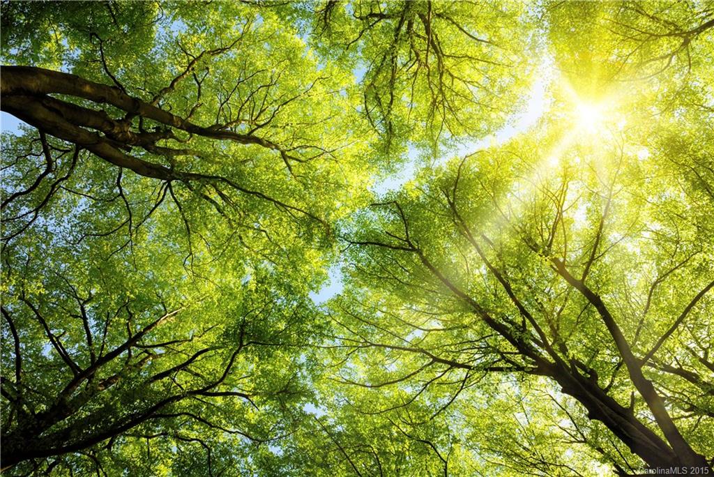 Handsmill On Lake Wylie - Land