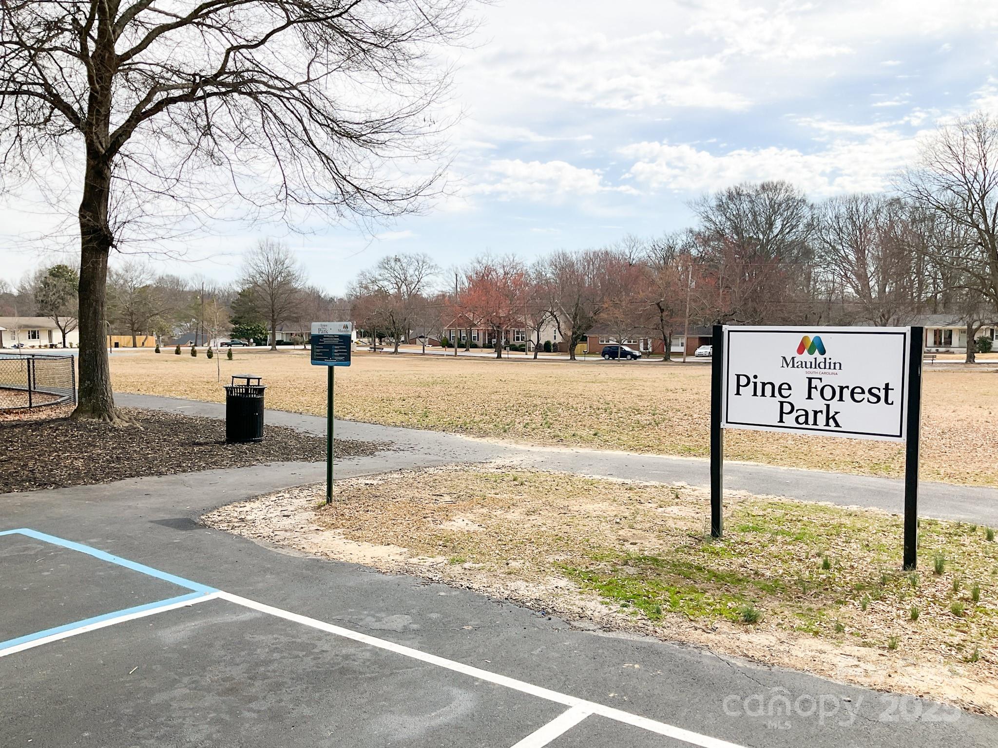 Pine Forest - Residential