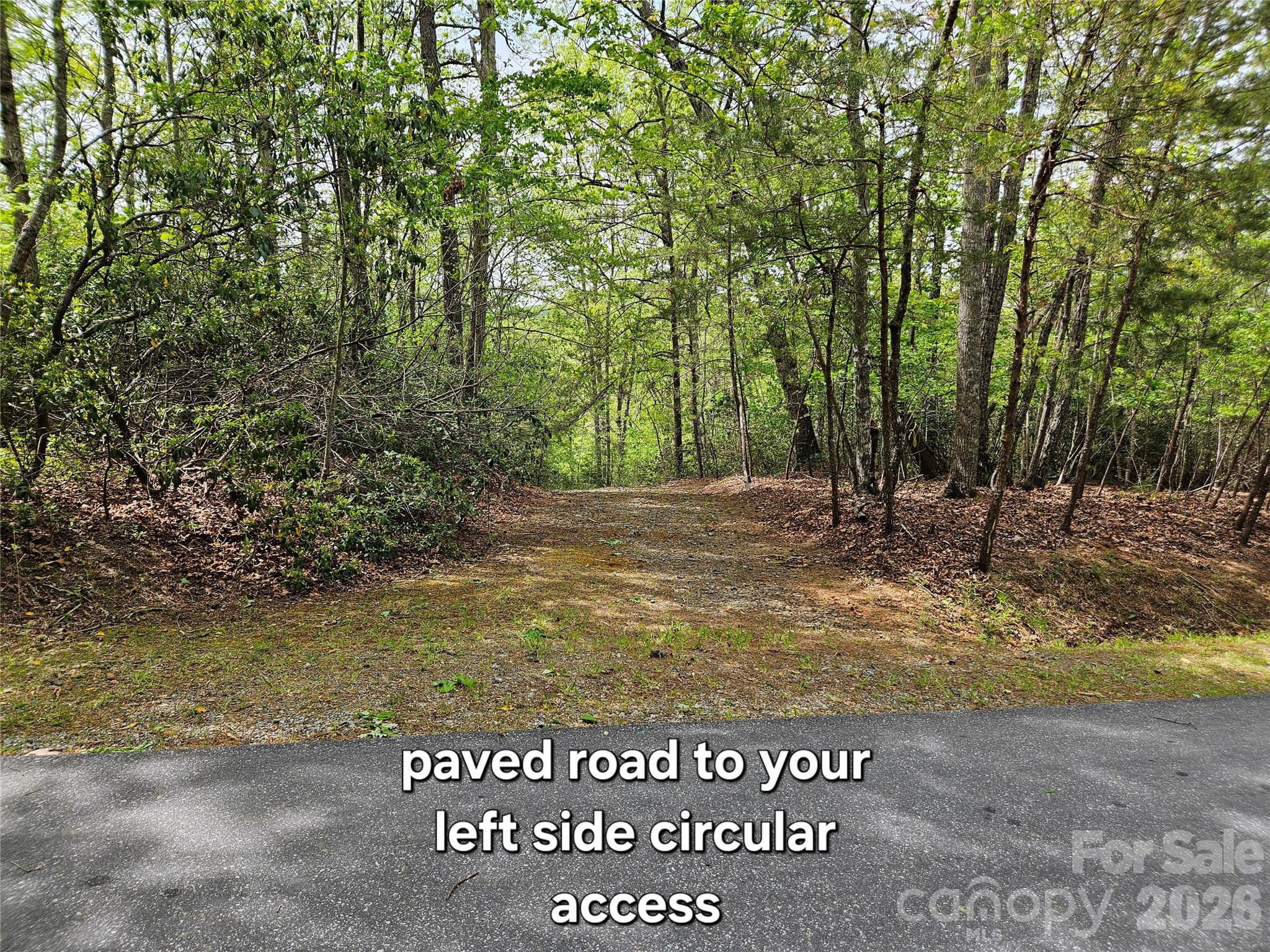 81 N Mill Ridge Road