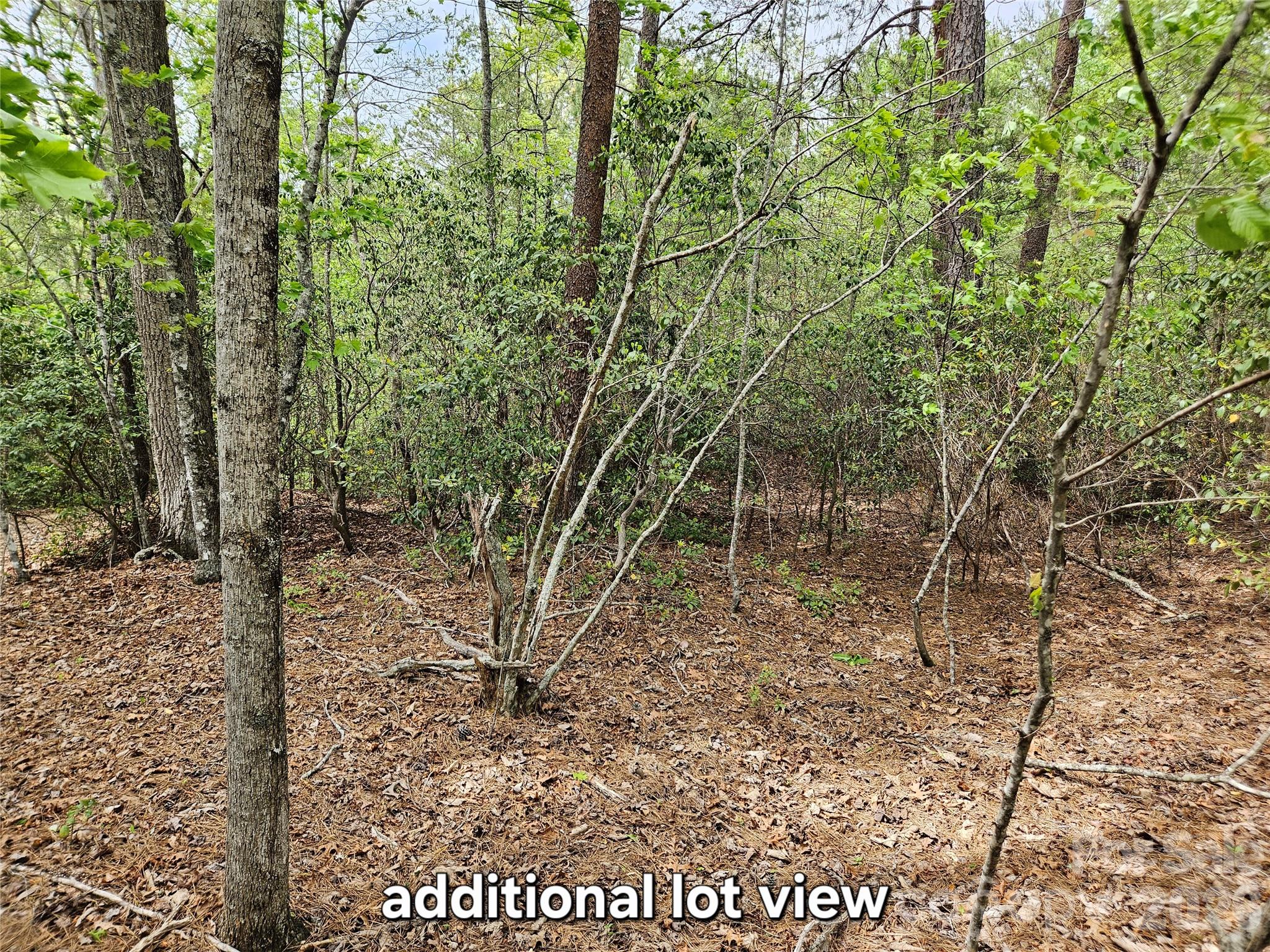 81 N Mill Ridge Road