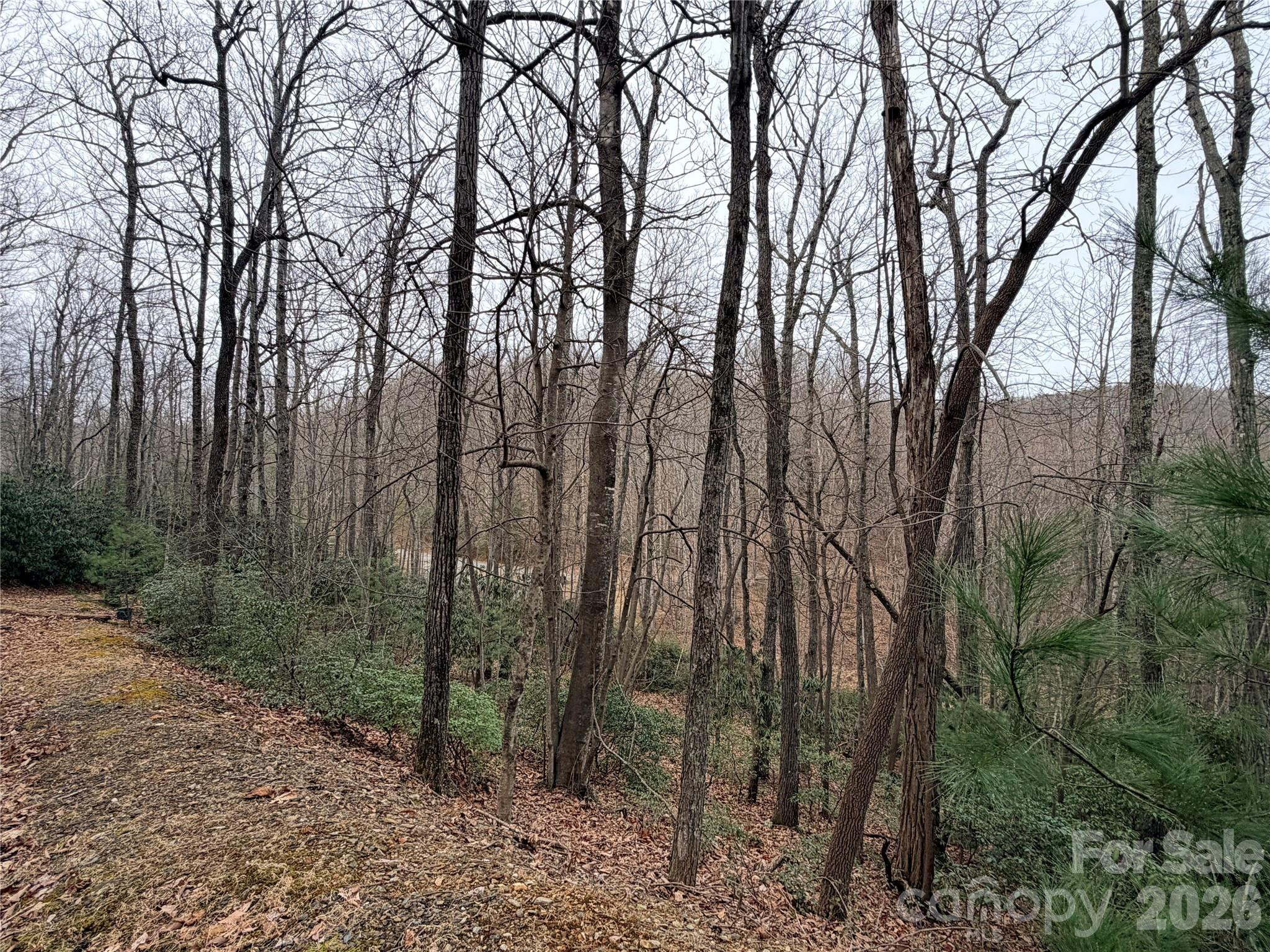 Grapevine Gap - Land