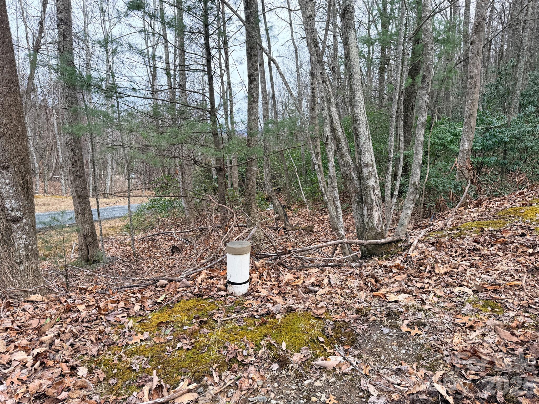 Grapevine Gap - Land