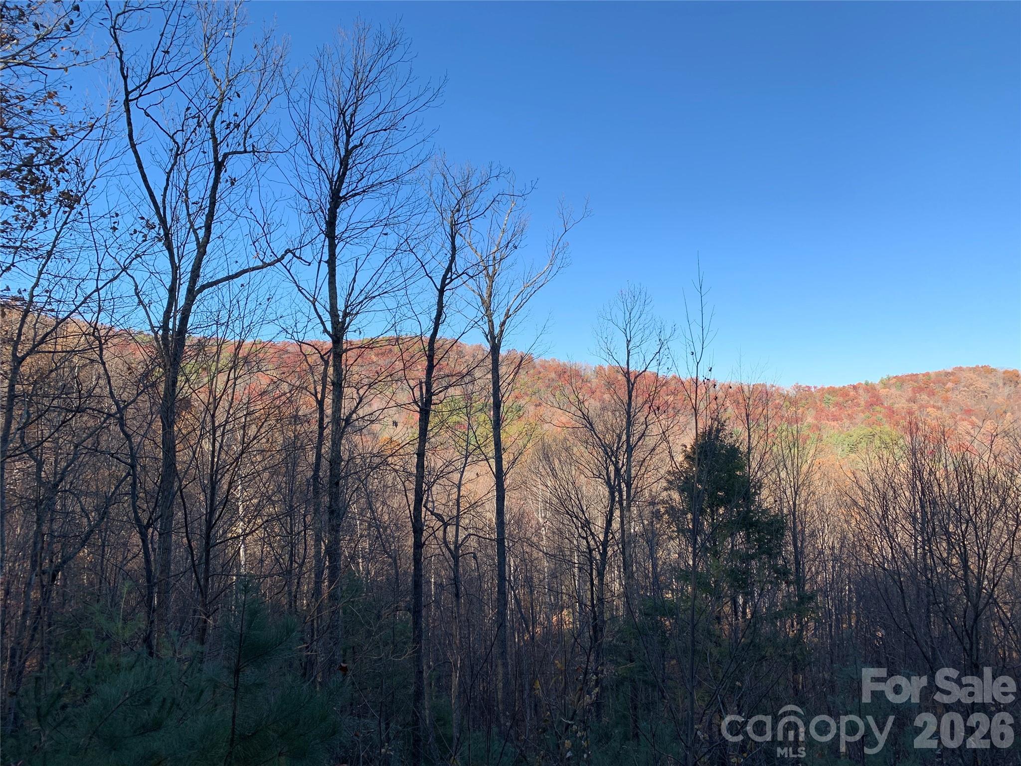 Grapevine Gap - Land