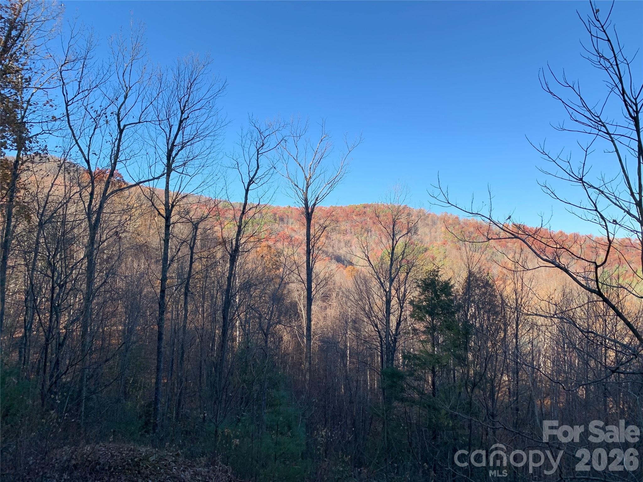 Grapevine Gap - Land