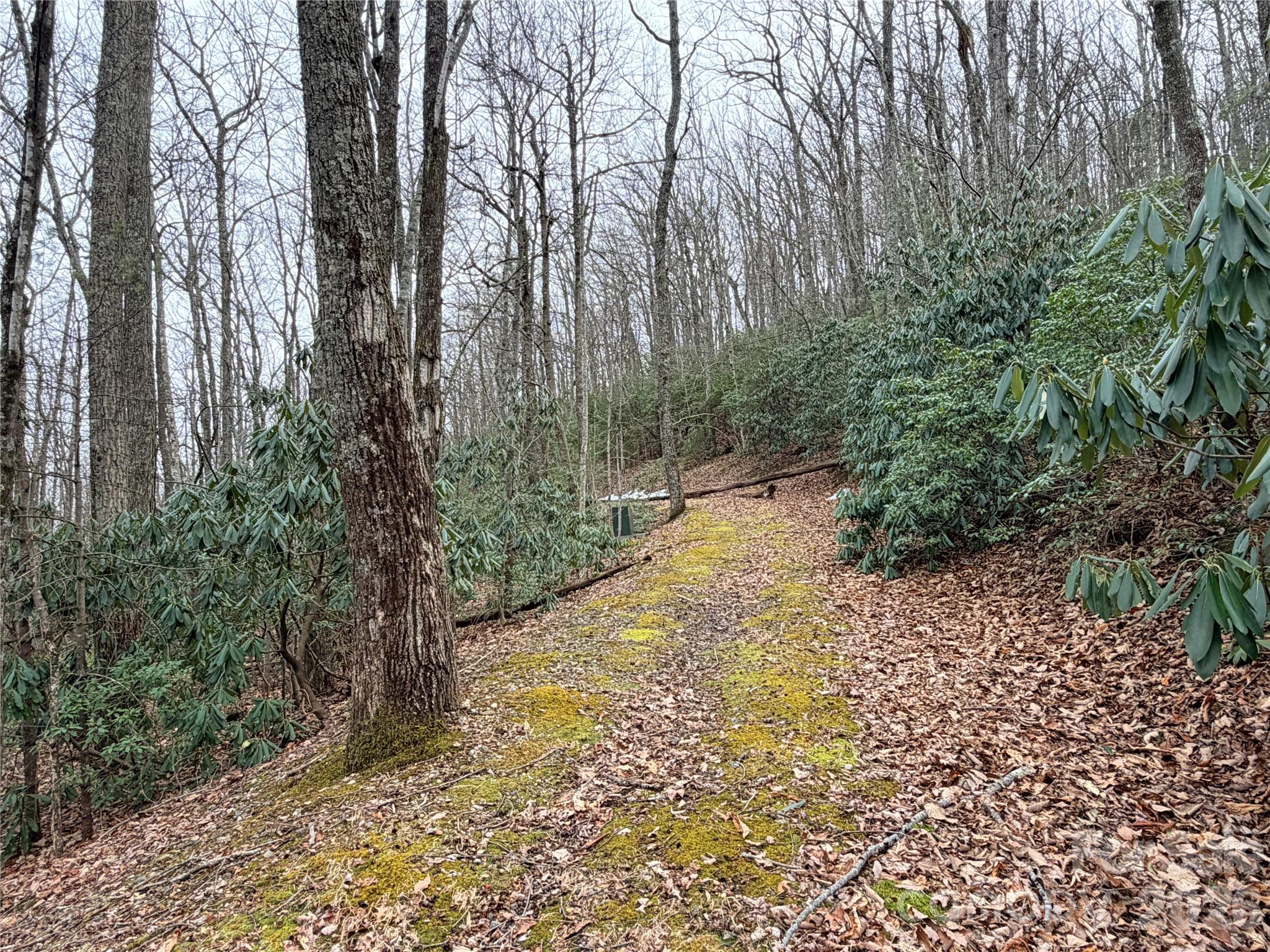 Grapevine Gap - Land