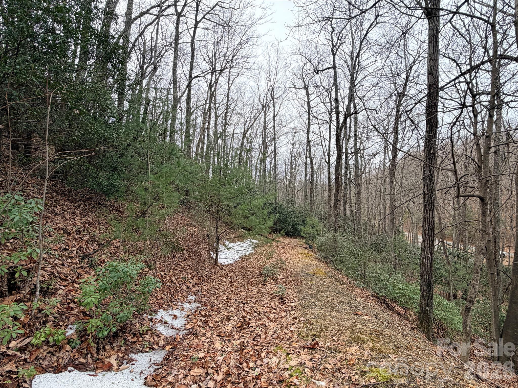 Grapevine Gap - Land