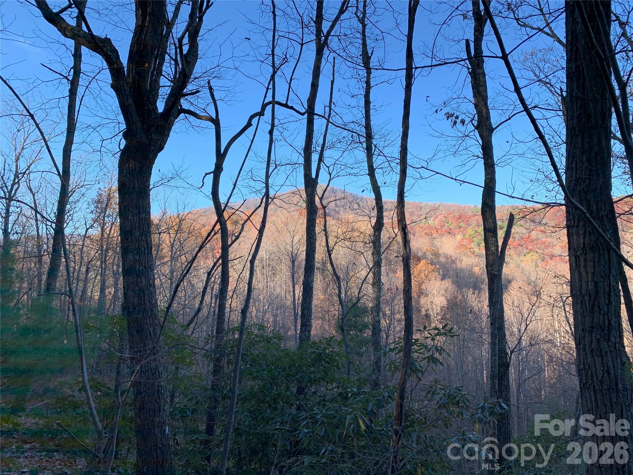 Grapevine Gap - Land