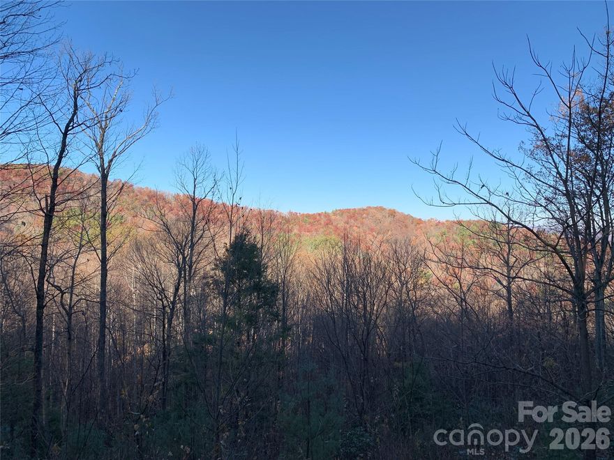 SAVE THOUSANDS on this unique opportunity for a building lot convenient to Boone and Blowing Rock. A well has already been drilled, underground power is in place, and there's even an underground propane tank already installed. The property has a Lenoir address but is more convenient to Blowing Rock or Boone. Enjoy end of road privacy and mountain views from this wooded lot waiting for you to build your mountain home. Located 6 miles from the Blue Ridge Parkway, you can access everything the High Country has to offer minutes from your future doorstep. This lot is nestled at the back of the Grapevine Gap community which boasts very well maintained wide roads allowing easy year round access. If you're looking for a building lot without all of the upfront building costs, you have to take a look at this property.