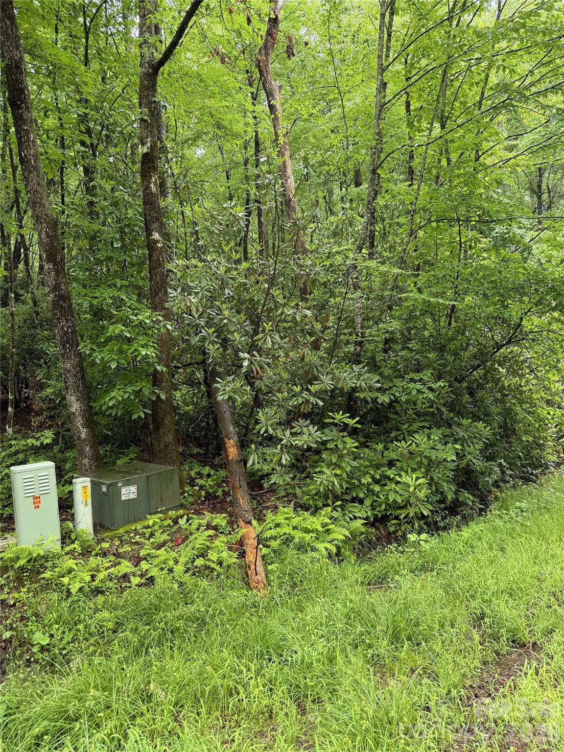 Stoney Brook - Land