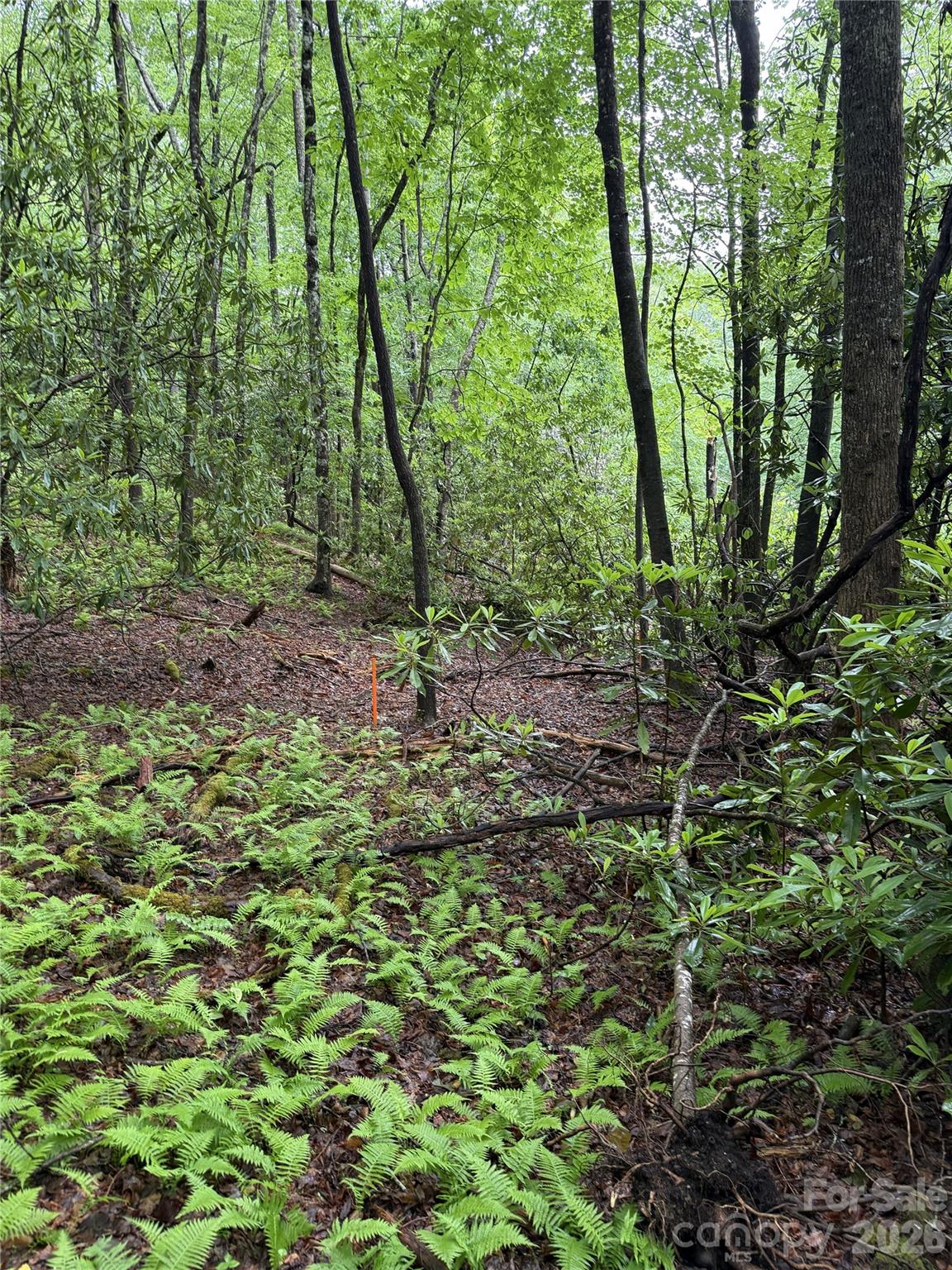Stoney Brook - Land