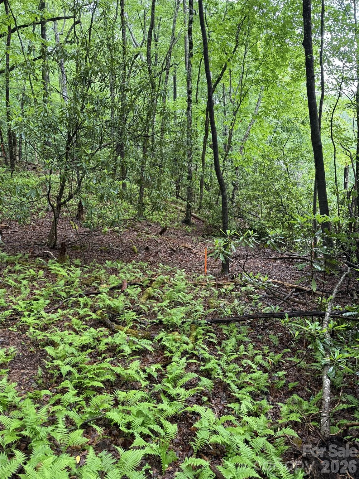 Lot 68 Cherrywood Lane, Pisgah Forest, NC, 28768