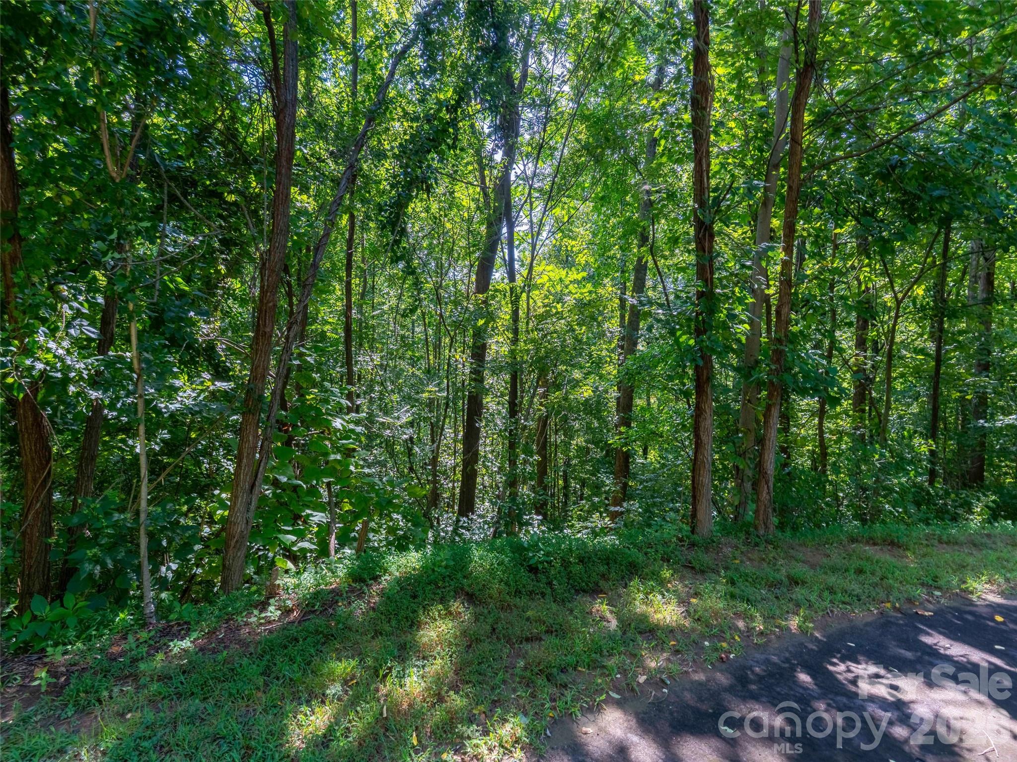 0 Harm Creek Loop 2142