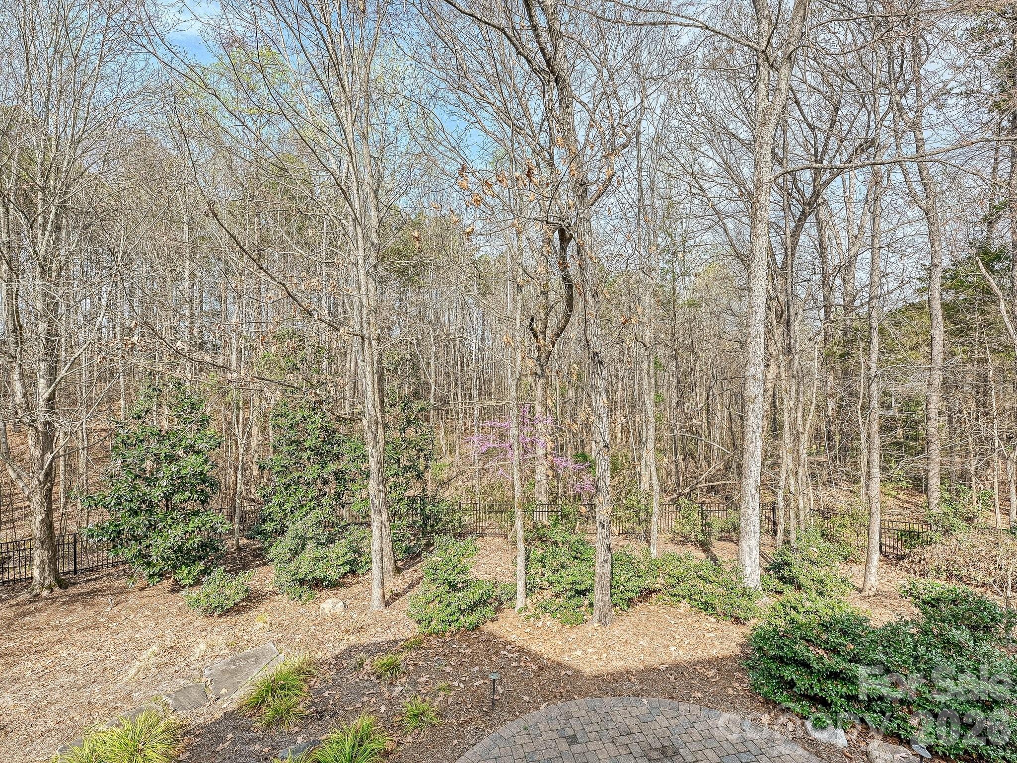 Ballantyne Country Club - Residential