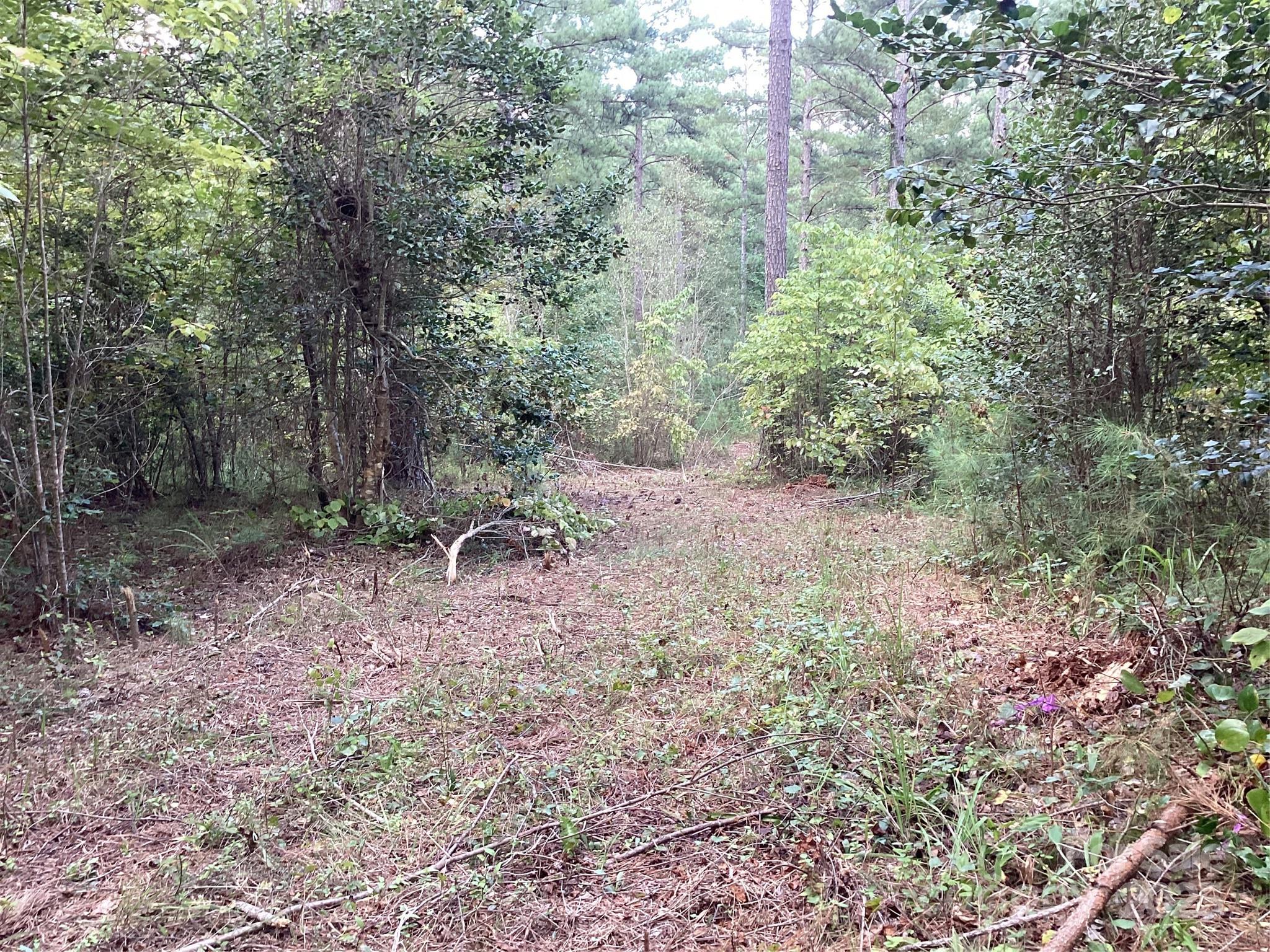 The Waterfront Club - Land