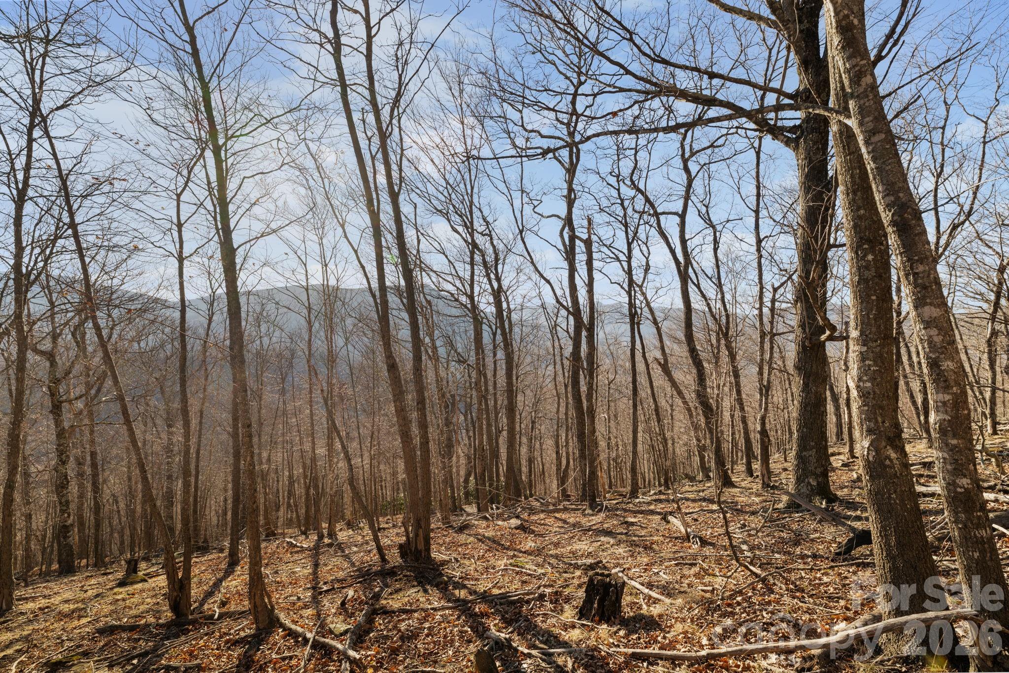 Mountain View Estates - Land