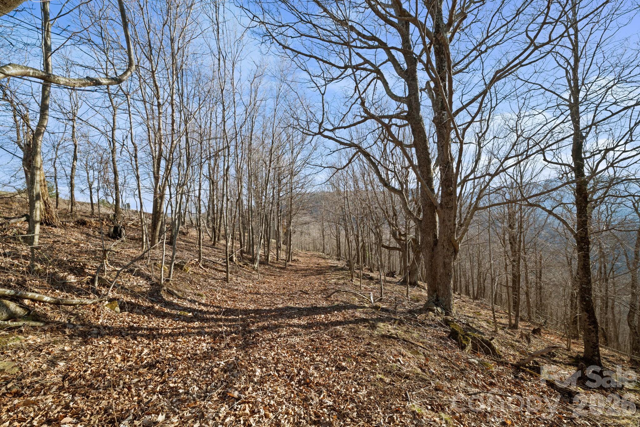 Mountain View Estates - Land