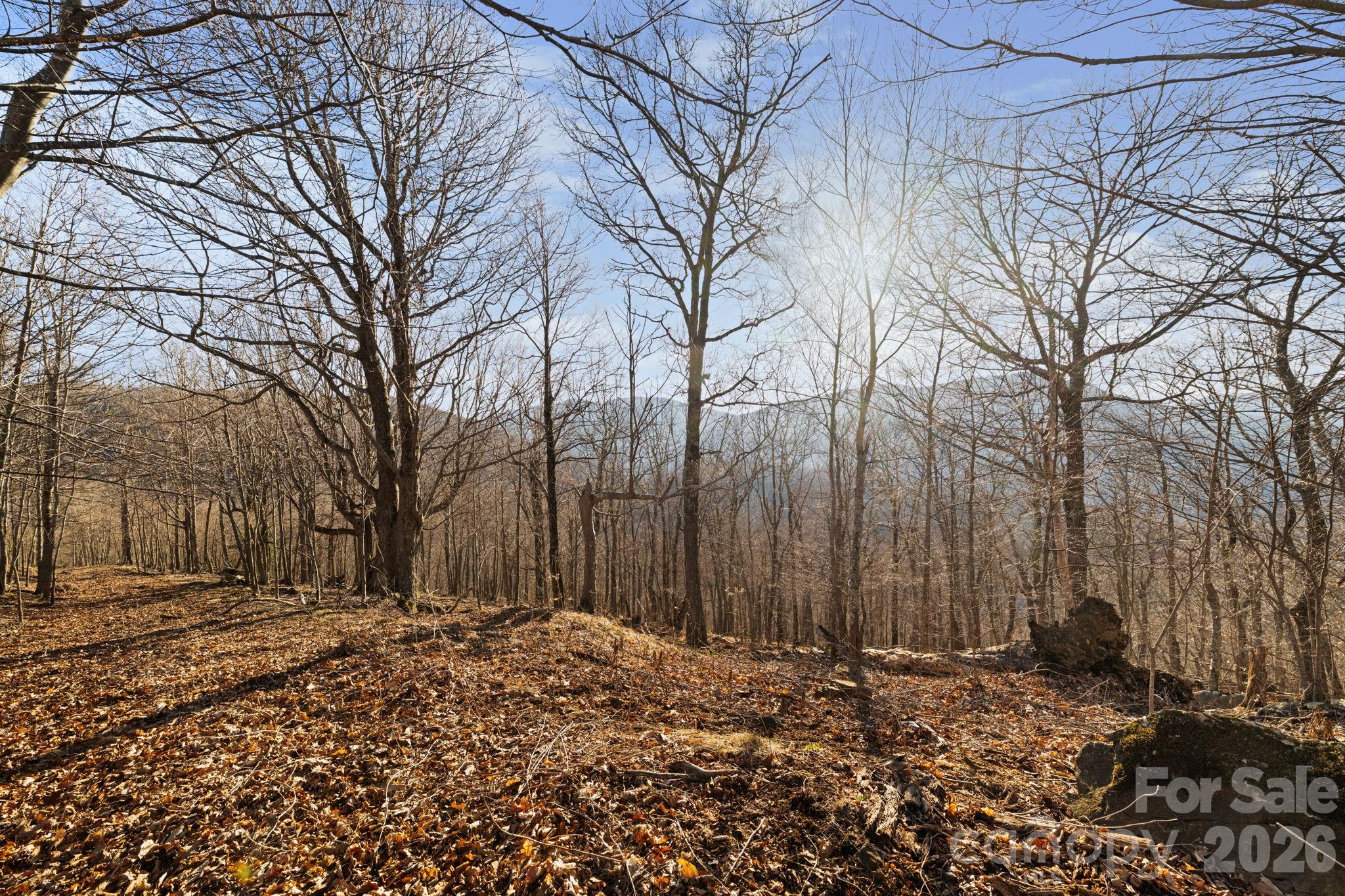 Mountain View Estates - Land