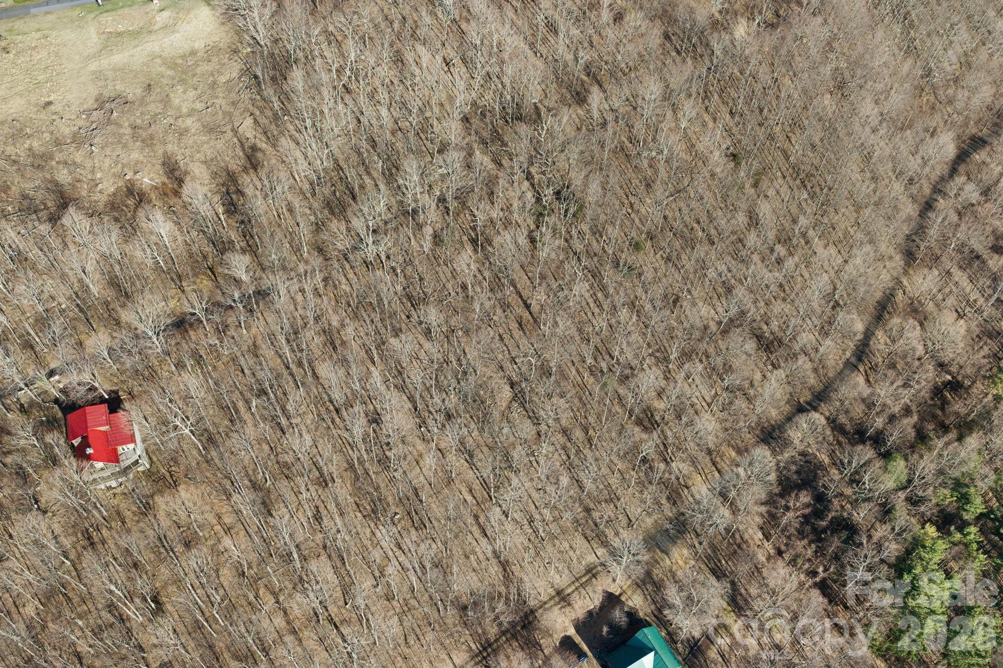 Mountain View Estates - Land